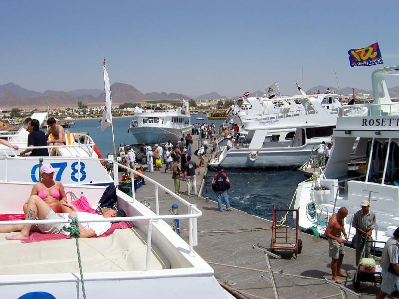 Coll EG 003.JPG